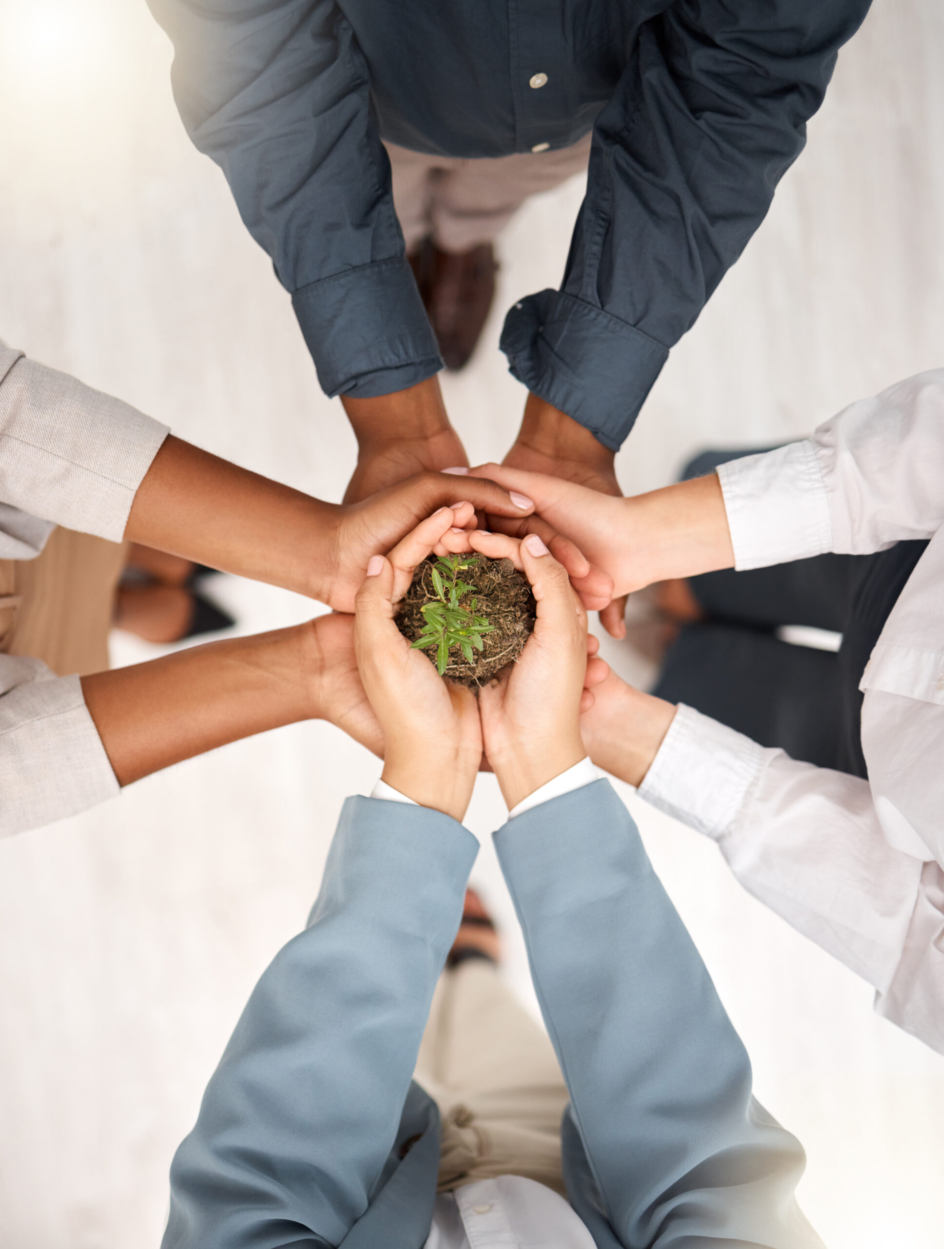 support-environment-and-plant-with-hands-of-busin-2026-01-09-09-15-37-utc